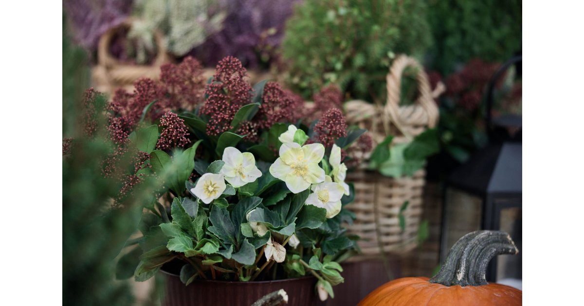 Eski oqituvchilar porno Jingalak seksual blondalar