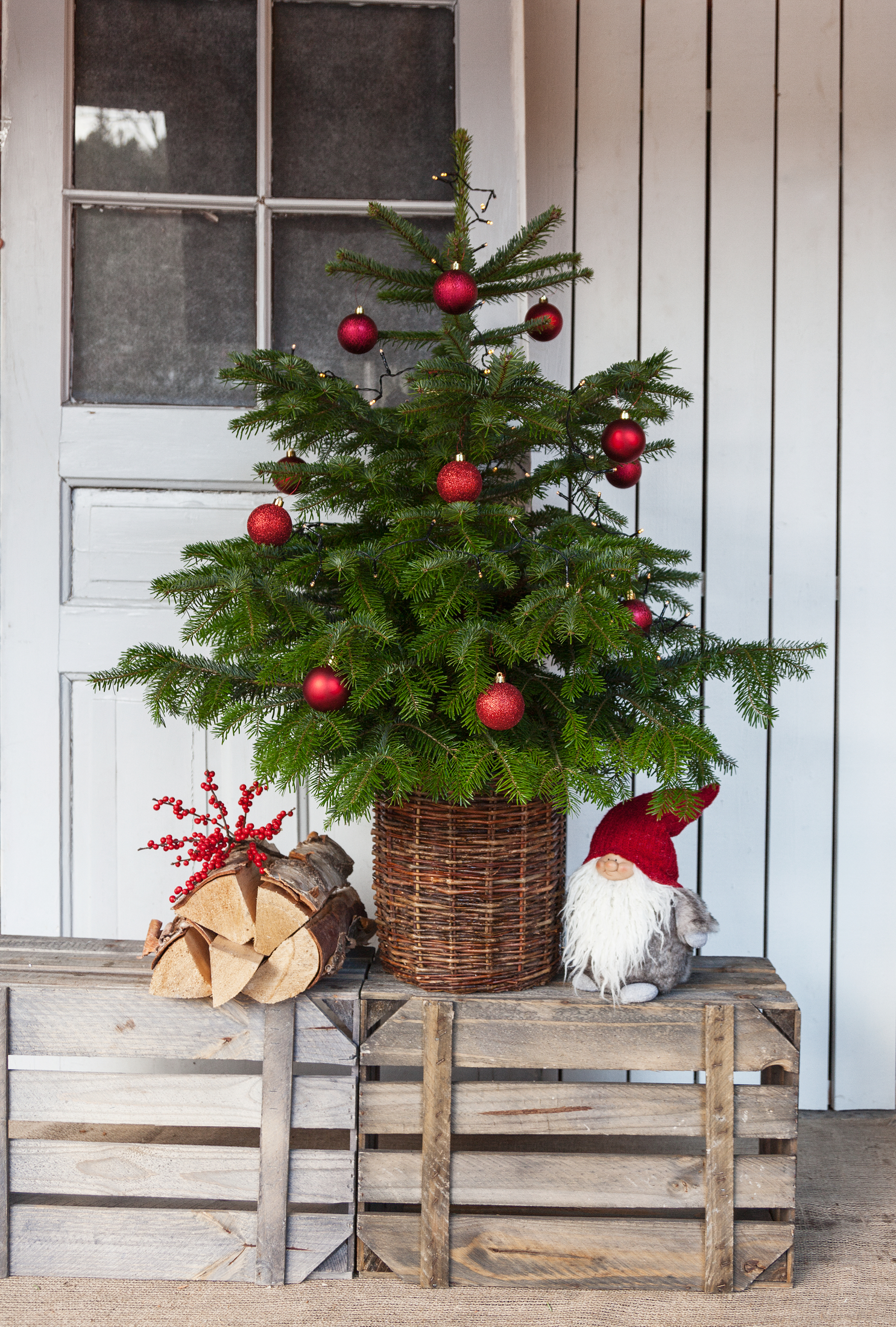 Minijulgran vid entrén Blomsterlandet