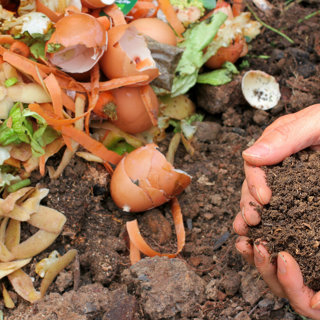 Ta hand om ditt matavfall med en kompost