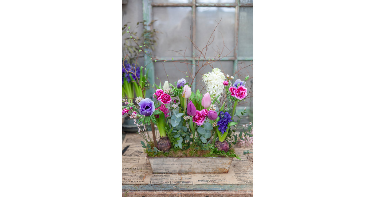 Gör blomsterarrangemang med stenull – stickmassa Fibre floral