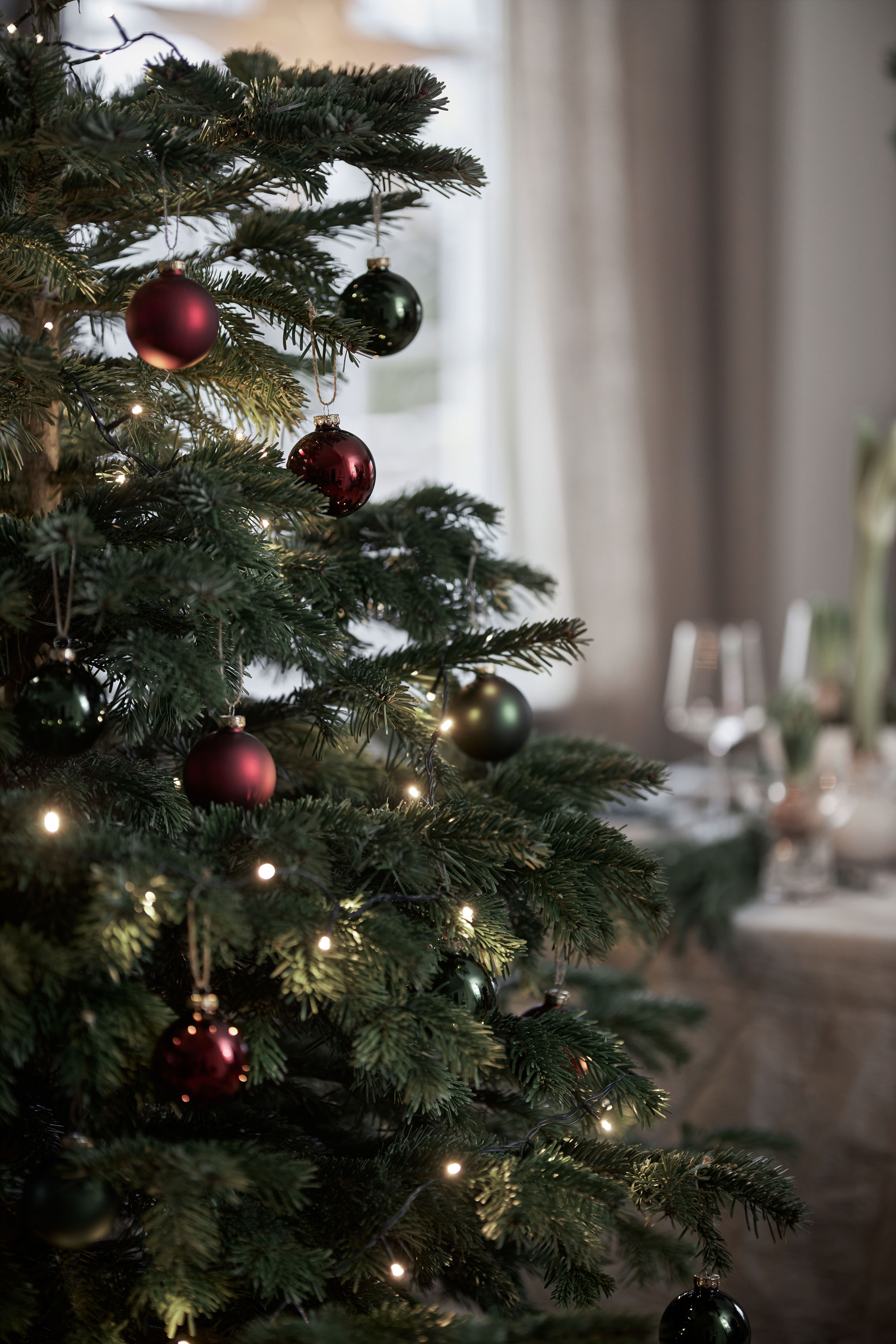 Julgran så sköter du den Blomsterlandet