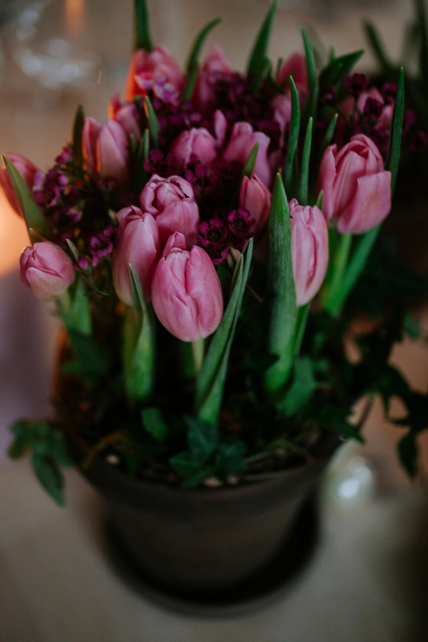 Nyårsfint – tre dekorationer för nyårsdukning | Blomsterlandet