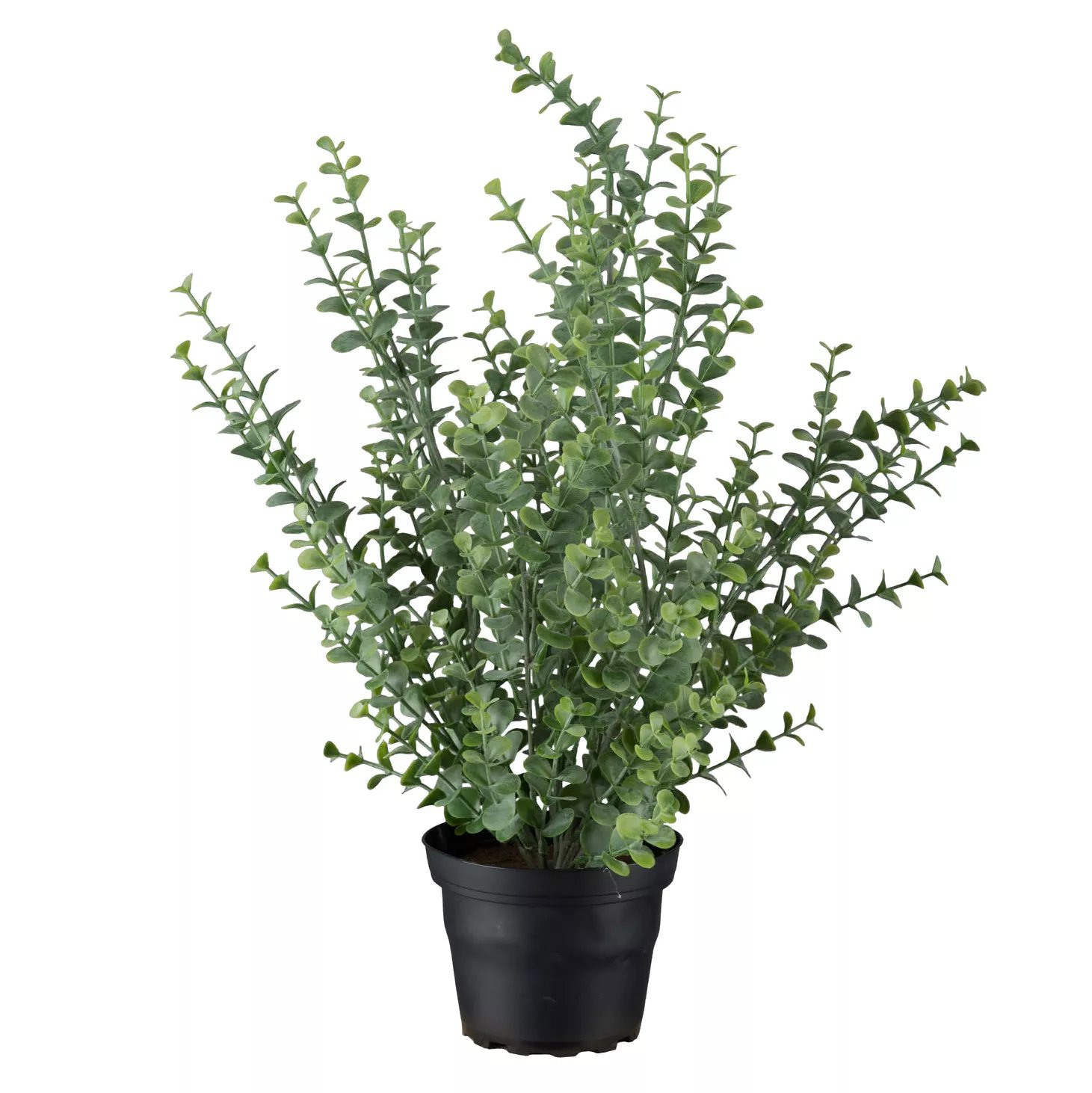 Produktbild på Eukalyptus i kruka, konstgjord
