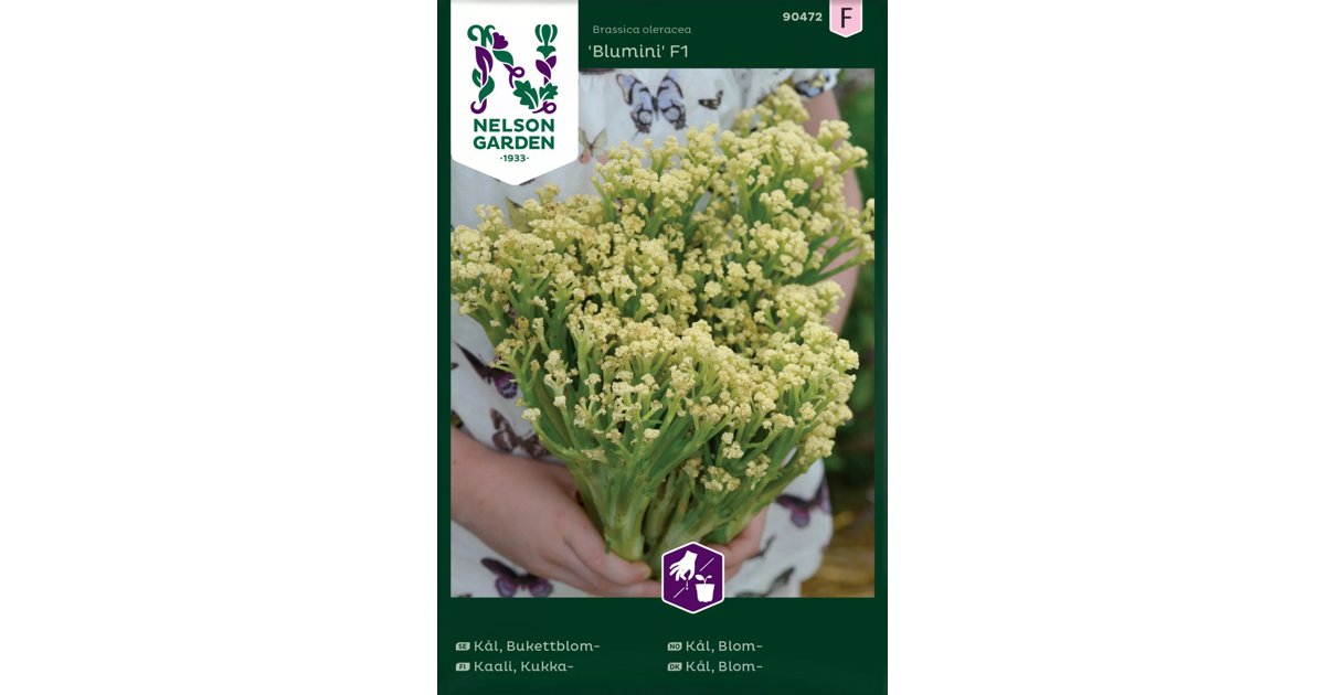 Blomkål Blumini F1