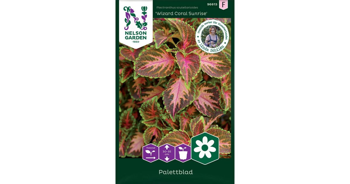 Palettblad Wizard Coral Sunrise
