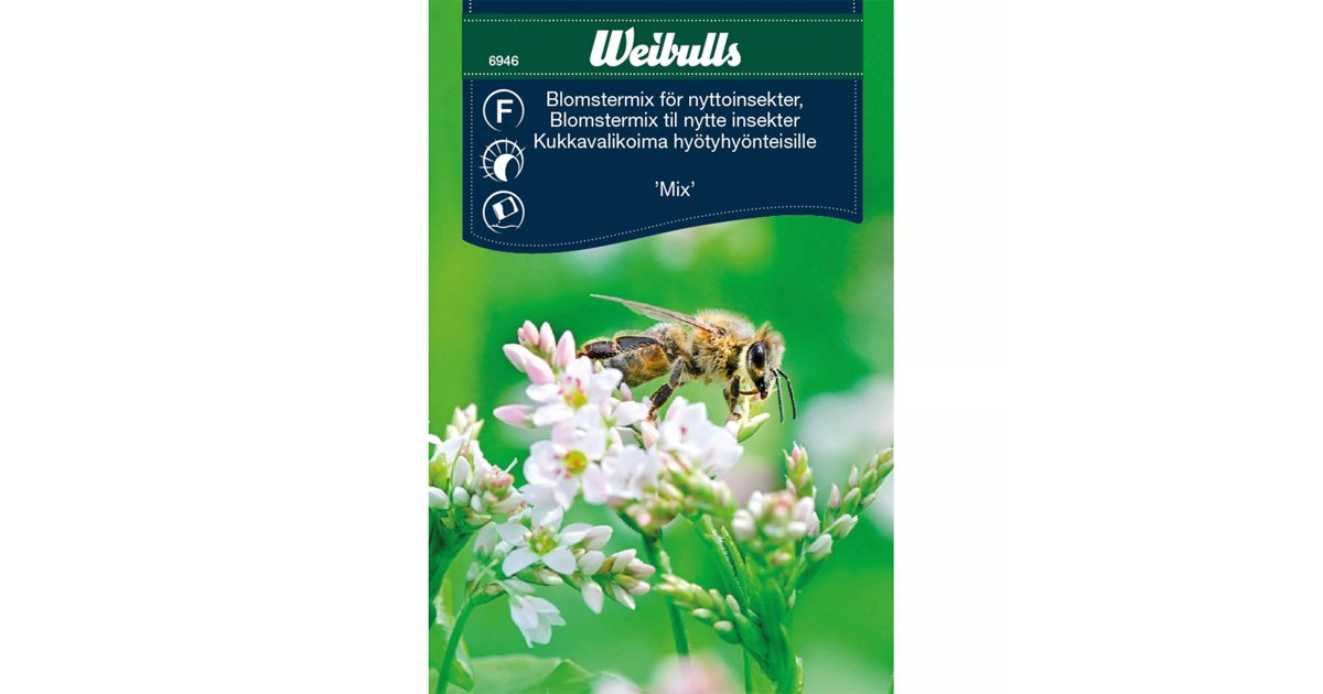 Blomstermix För Nyttoinsekter