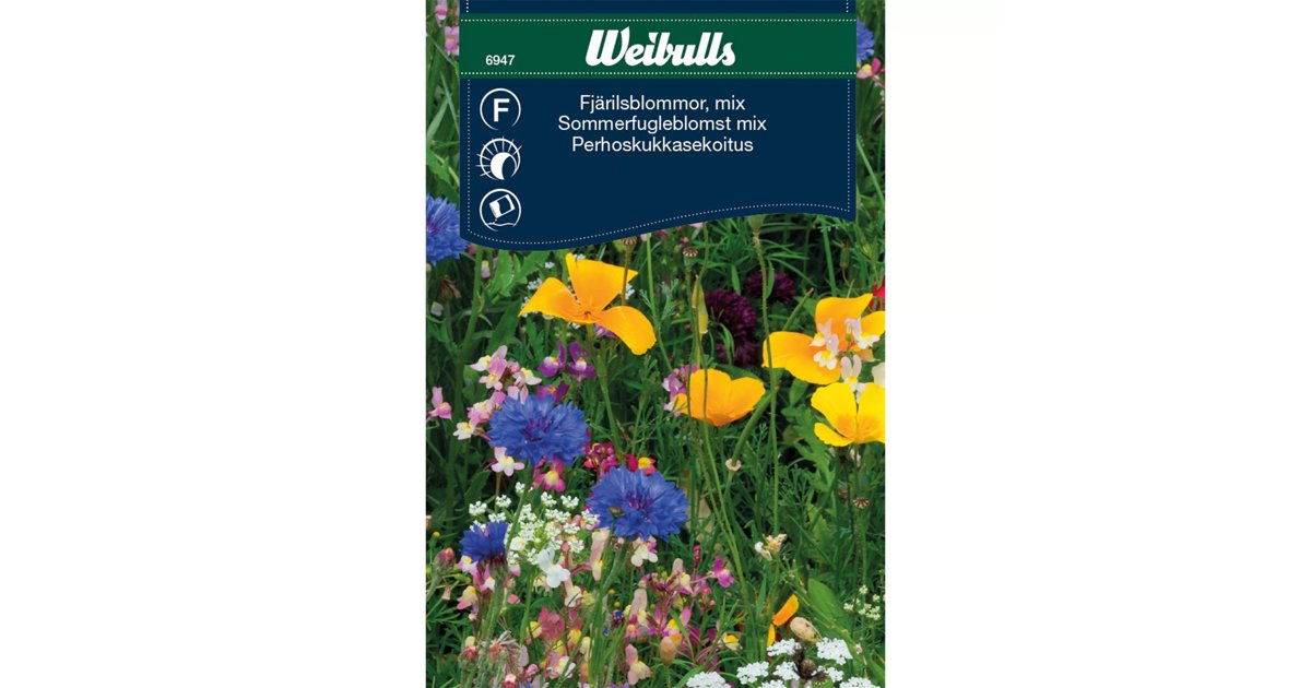 Fjärilsblommor Mix