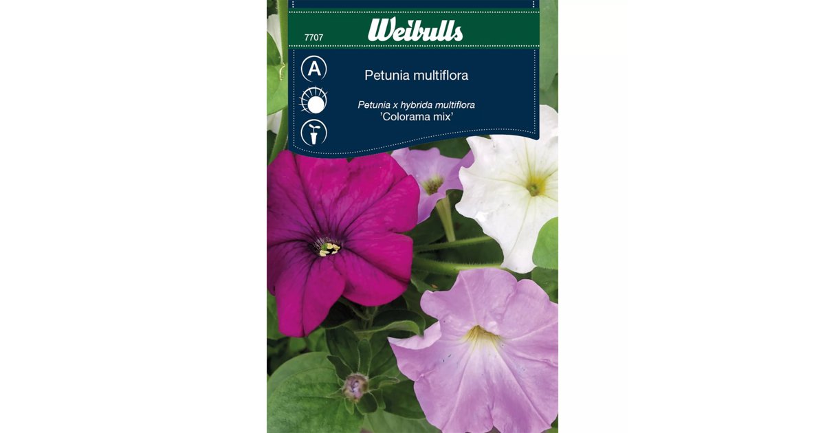 Petunia Colorama-Serien