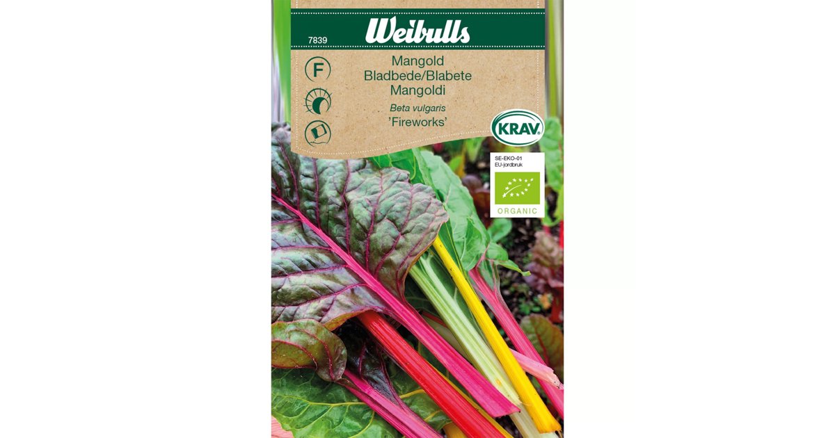 Mangold Fireworks