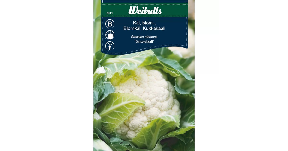 Blomkål Snowball