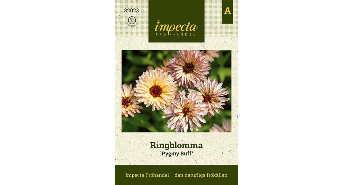 Ringblomma 'Pygmy Buff' 75 st