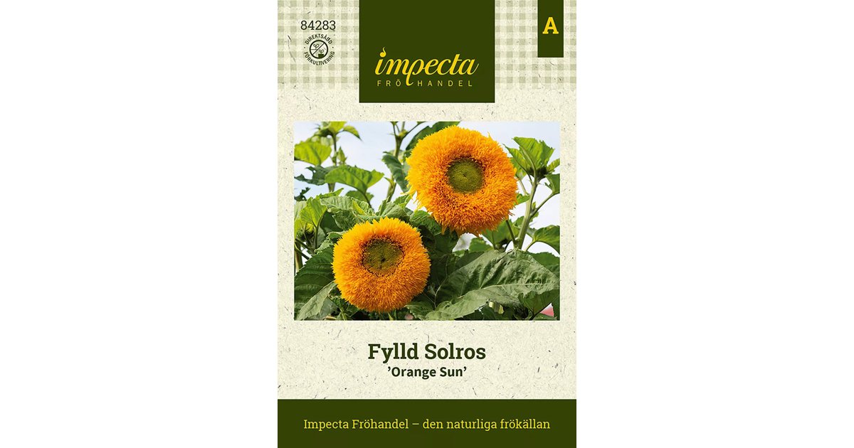 Solros Orange Sun