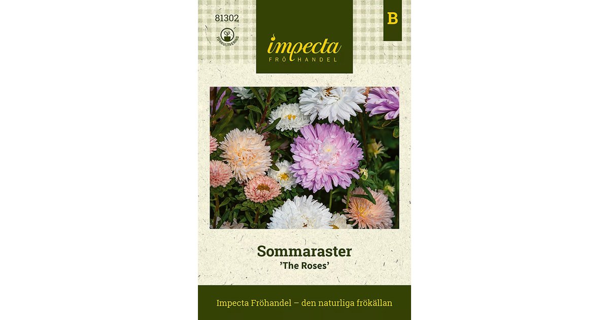 Sommaraster The Roses Mix
