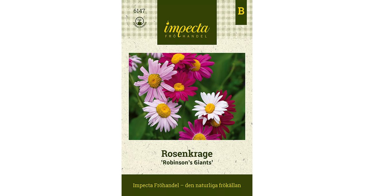 Rosenkrage Robinsons Giants Mix