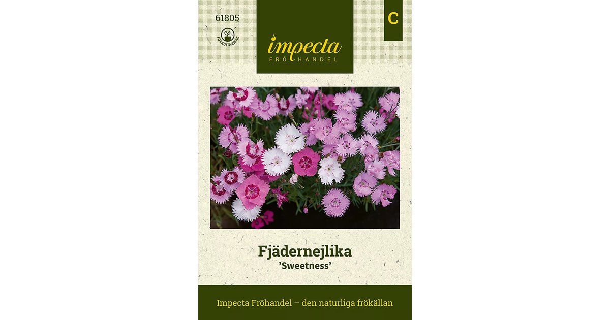 Fjädernejlika Sweetness Mix