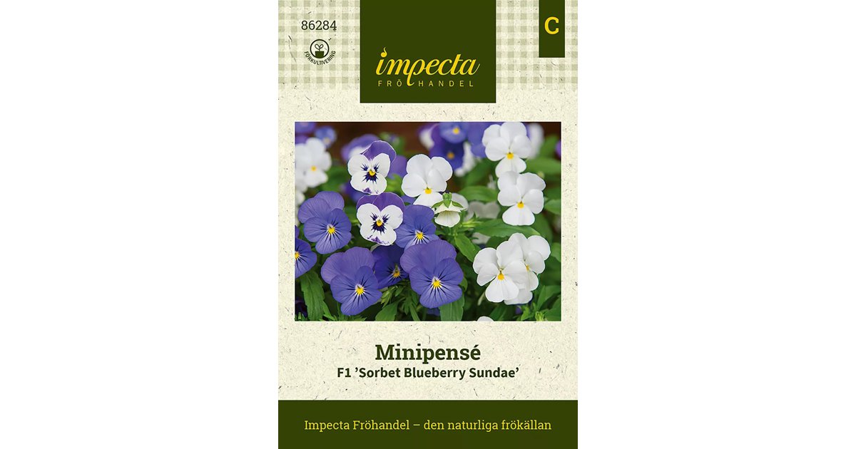 Minipensé F1 Sorbet Blueberry Sundae Mix