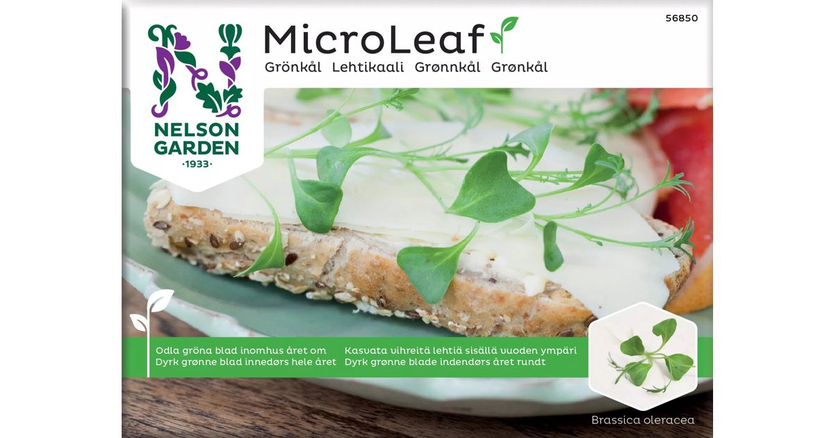 Micro Leaf Grönkål Jagallo Nero
