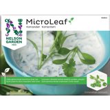 Produktbild på Micro Leaf Koriander 'Micro Splits'