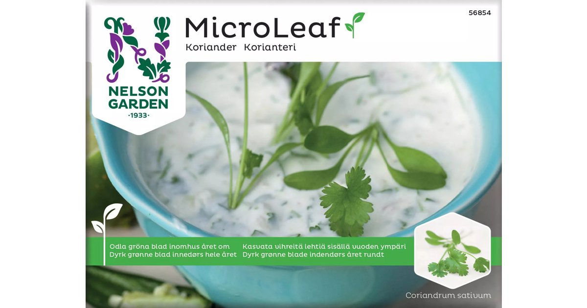 Micro Leaf Koriander Micro Splits
