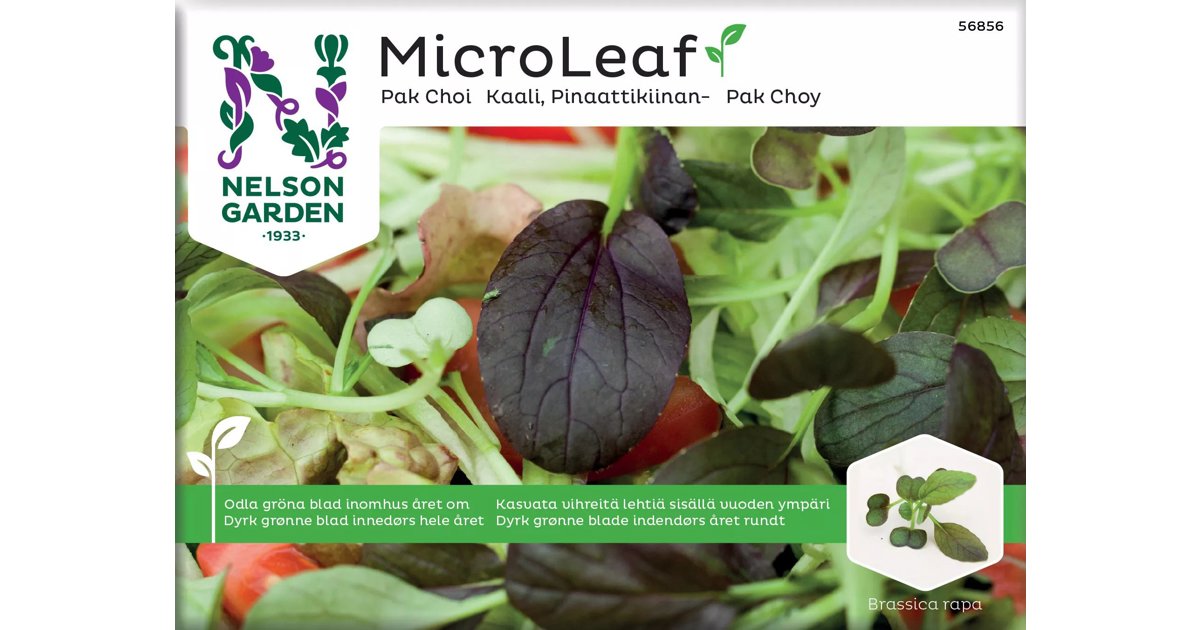 Micro Leaf Pak Choi Red Wizard