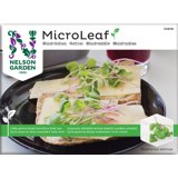 Produktbild på Micro Leaf Bladrädisa 'Sangria'