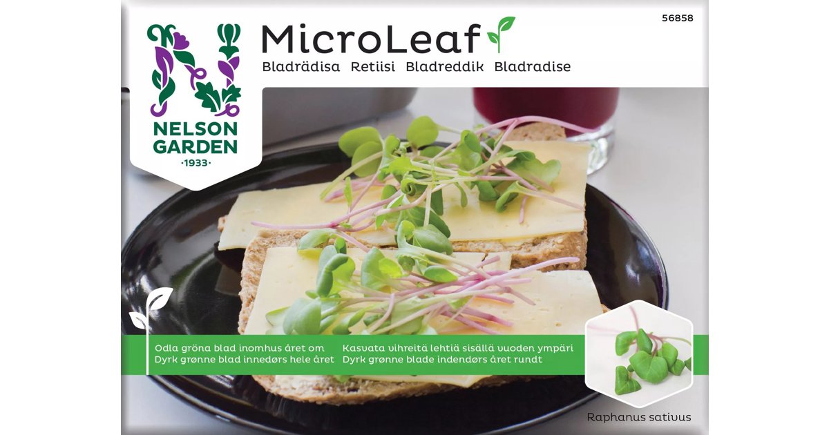 Micro Leaf Bladrädisa Sangria