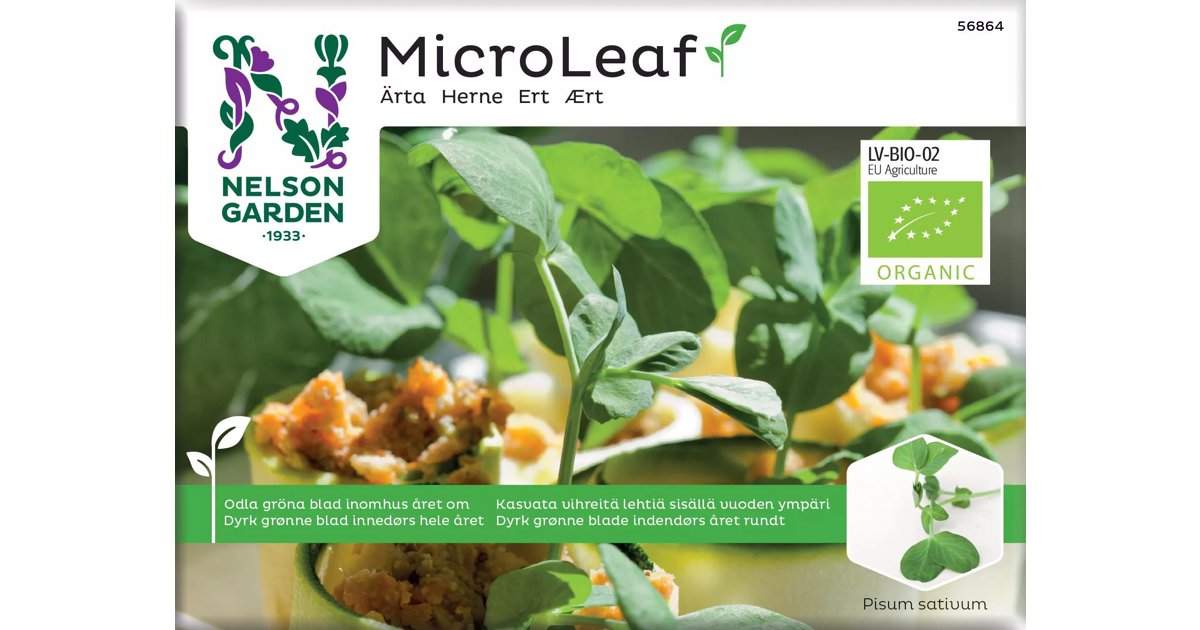 Micro Leaf Ärta