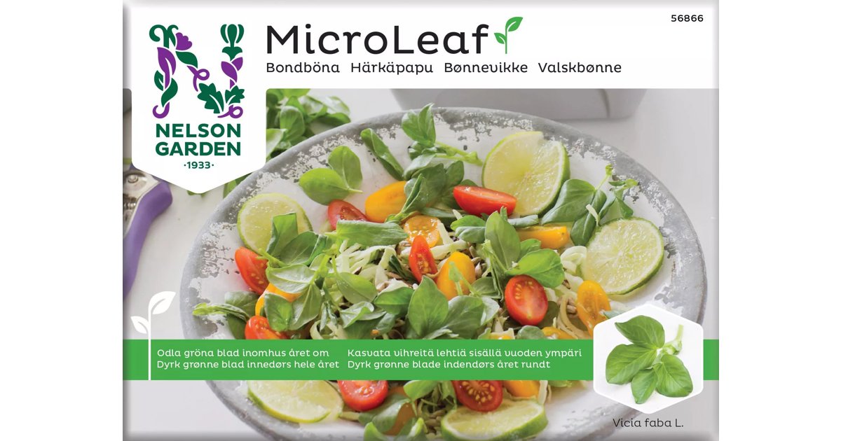 Micro Leaf Bondböna
