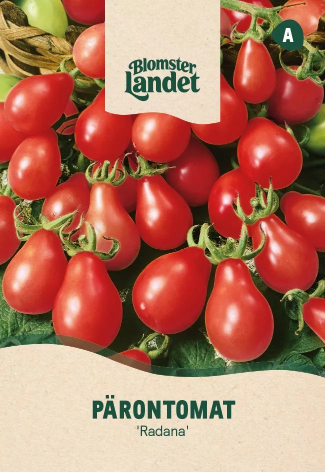 Pärontomat 'Radana' 50 st