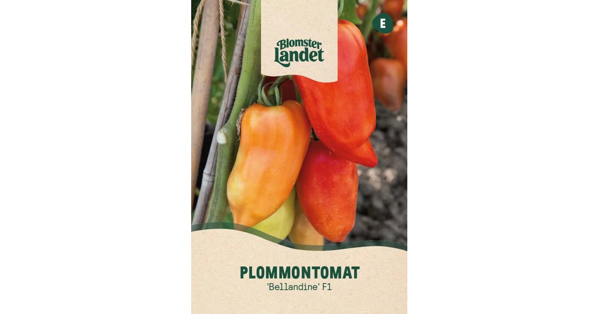 Plommontomat Bellandine F1