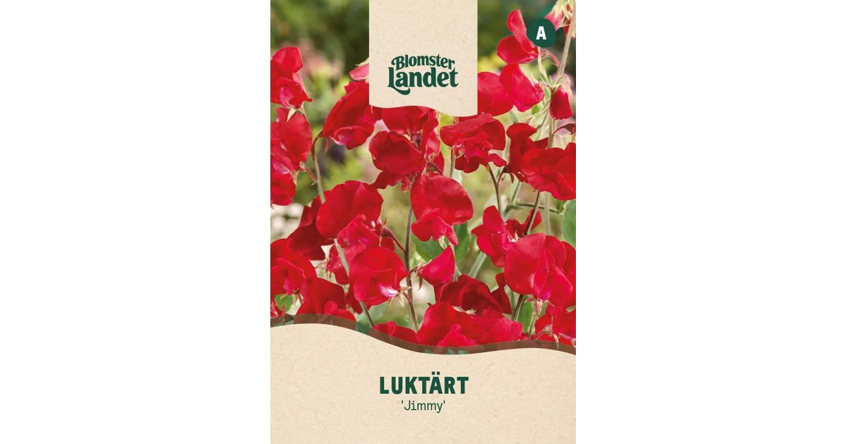 Luktärt Jimmy