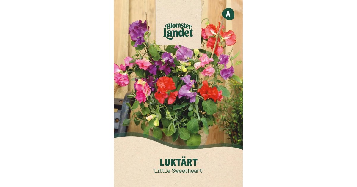 Luktärt Little Sweetheart
