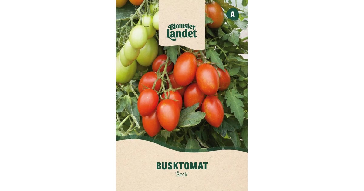 Busktomat Šejk