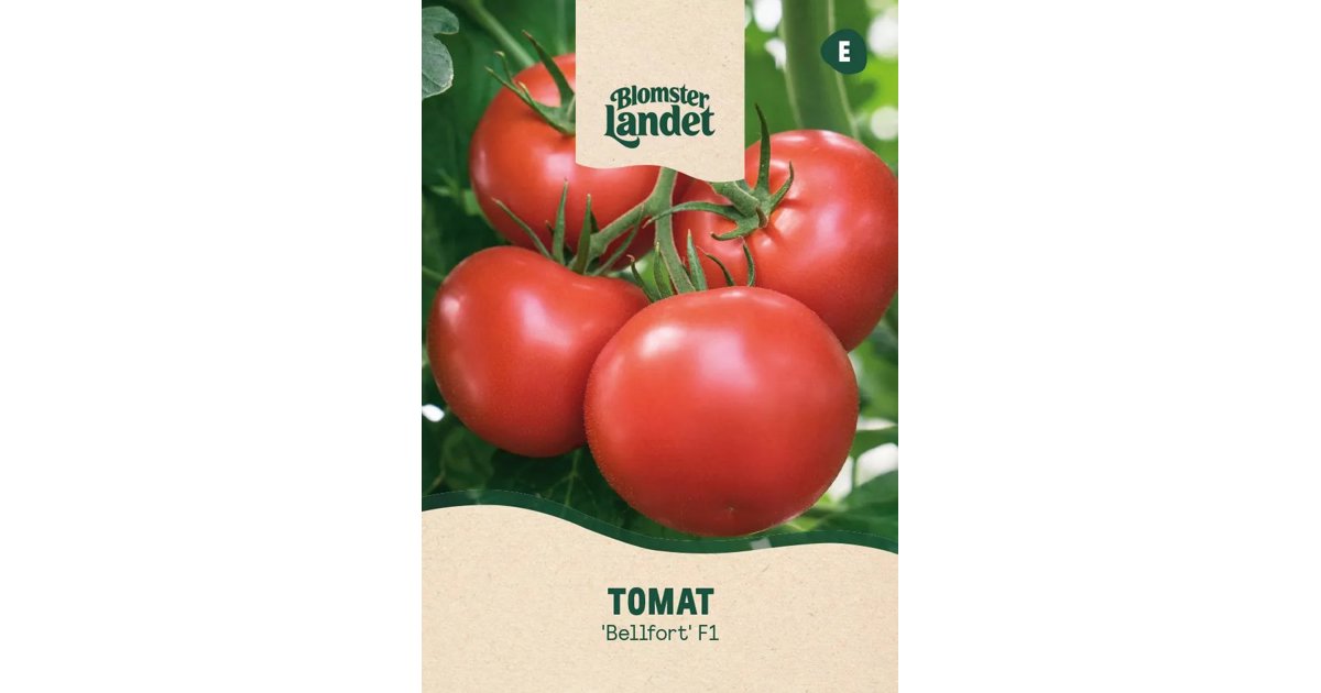Tomat Bellfort F1