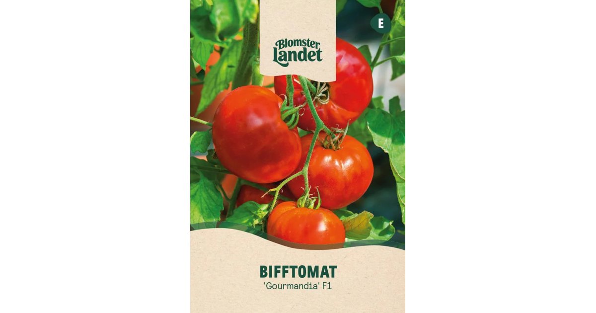 Bifftomat Gourmandia F1