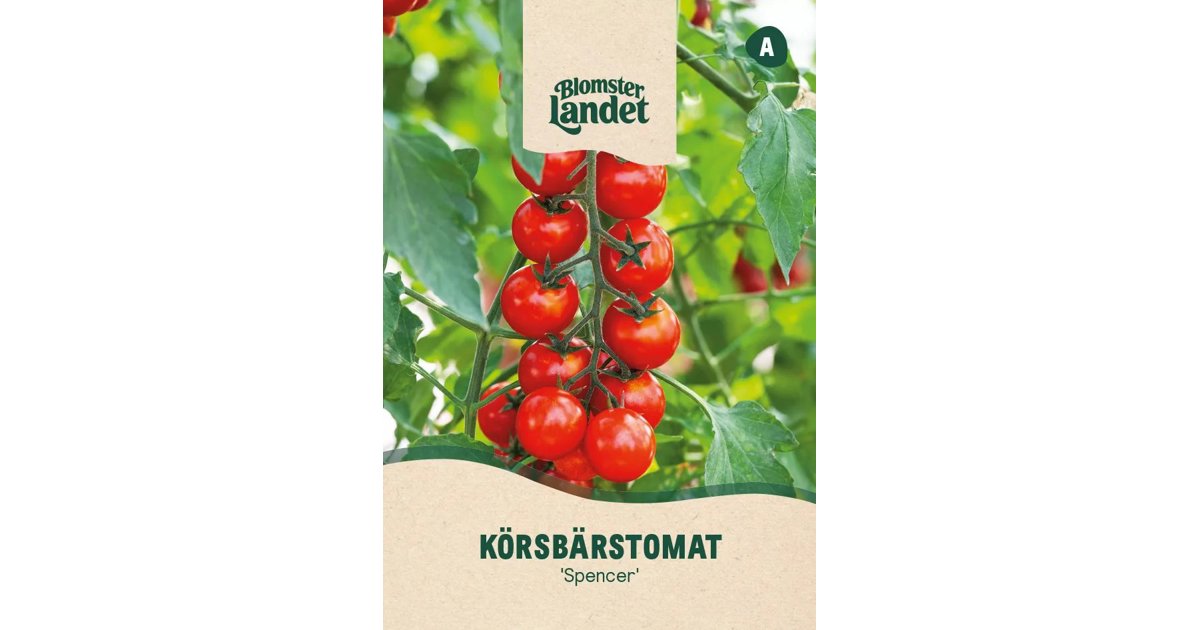 Körsbärstomat Spencer