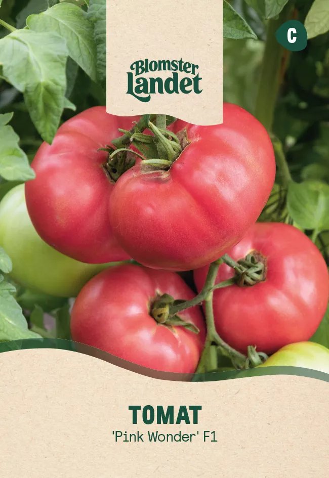 Tomat Pink Wonder F1