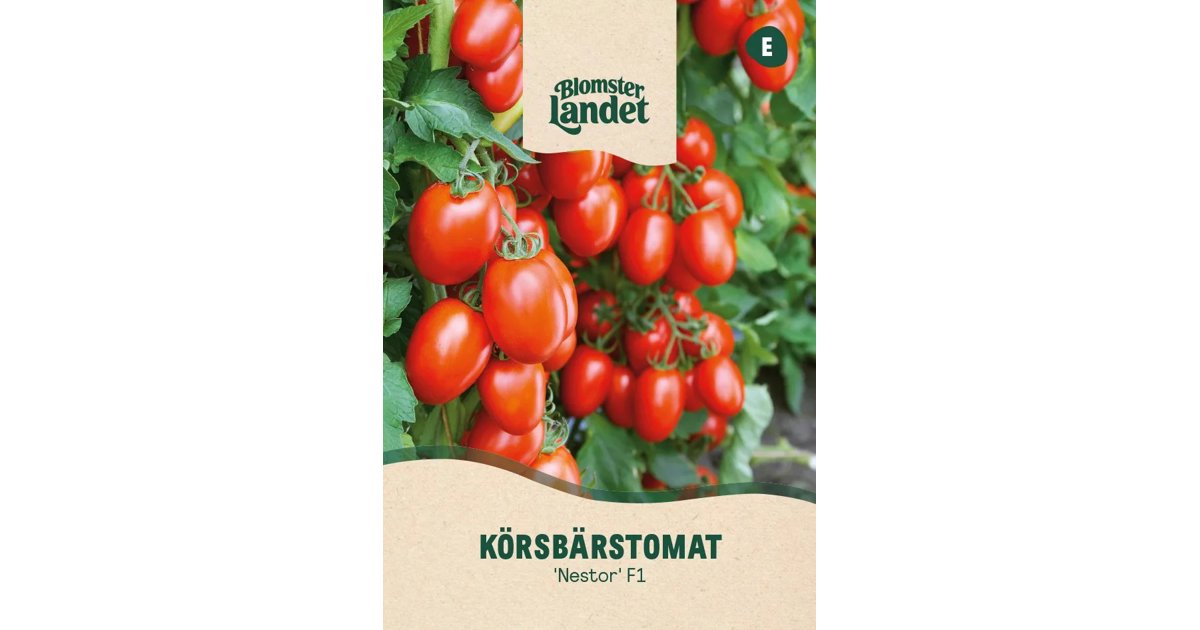 Körsbärstomat Nestor F1