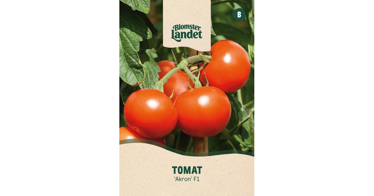 Tomat Akron F1