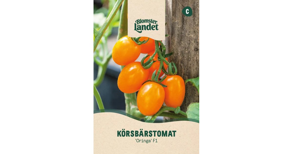 Körsbärstomat Oringa F1