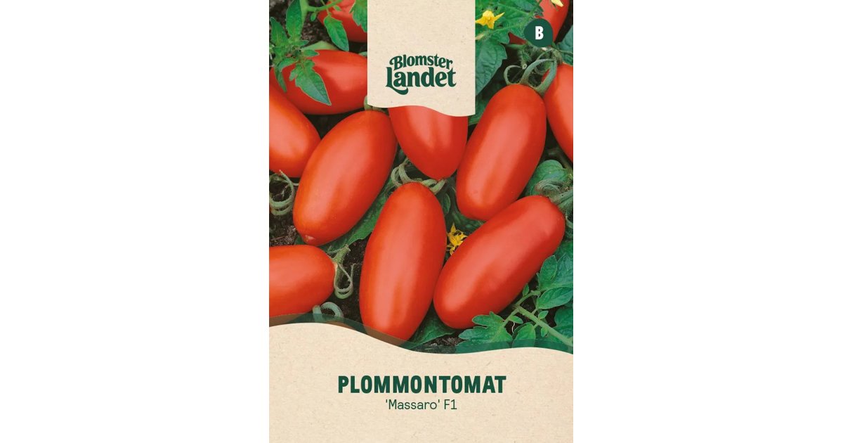 Pärontomat Massaro F1