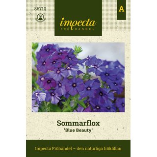 Produktbild på Sommarflox 'Blue Beauty'