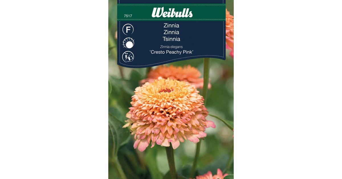 Zinnia Cresto Peachy Pink