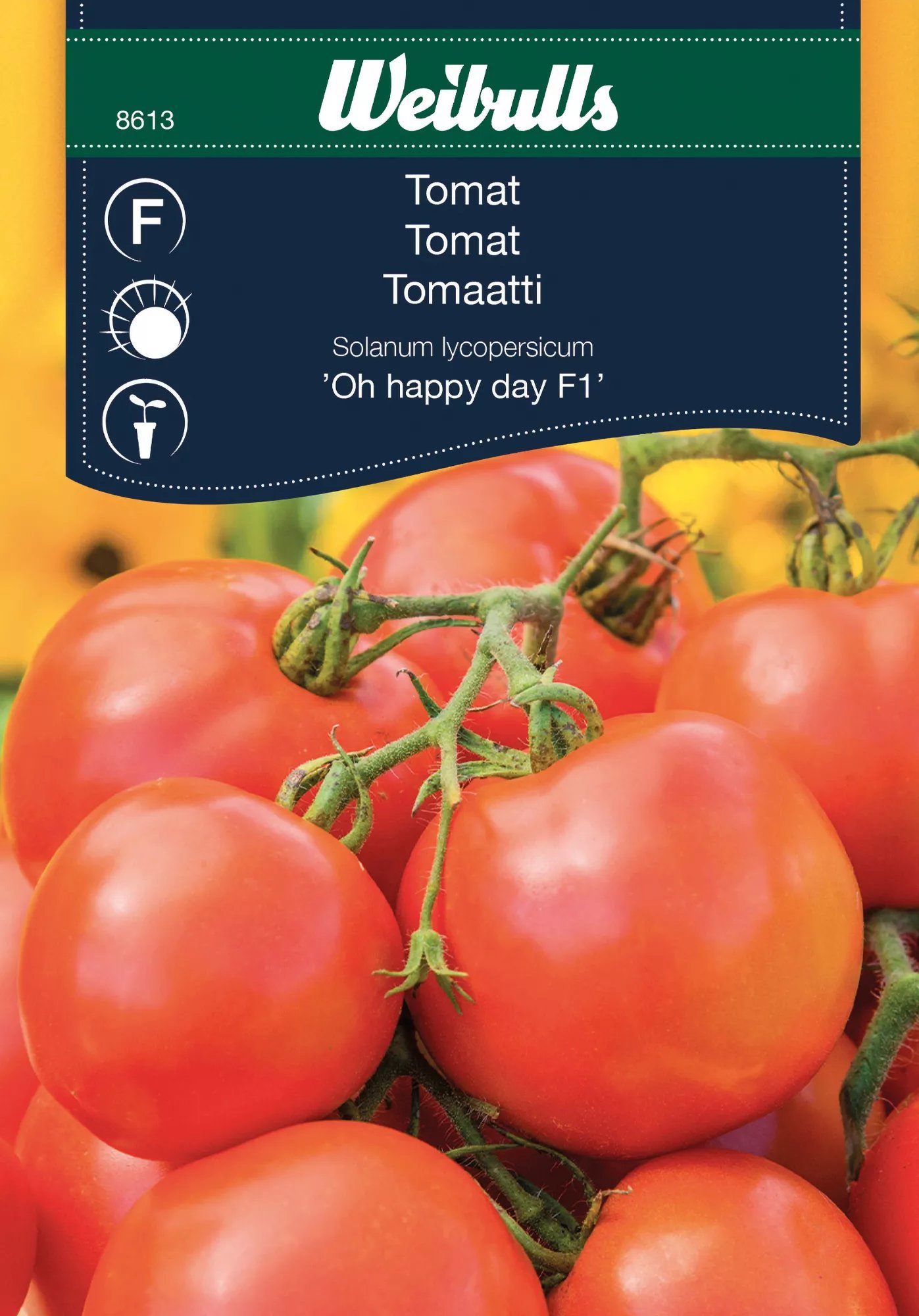 Tomat Oh Happy Day F1