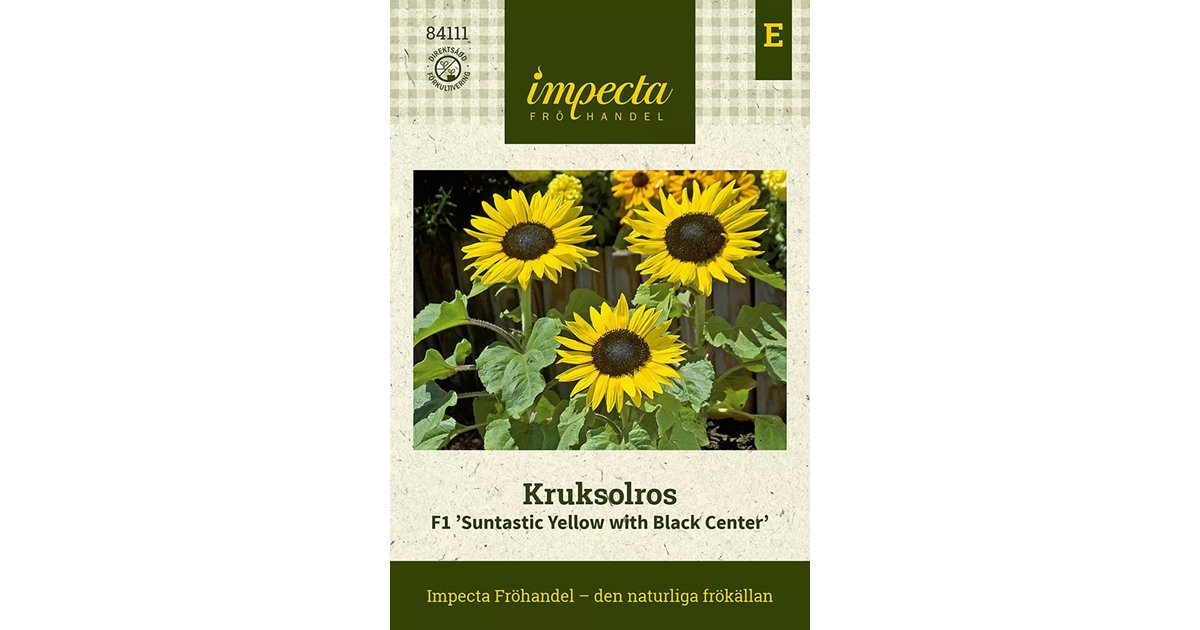 Kruksolros Suntastic Yellow With Black Center