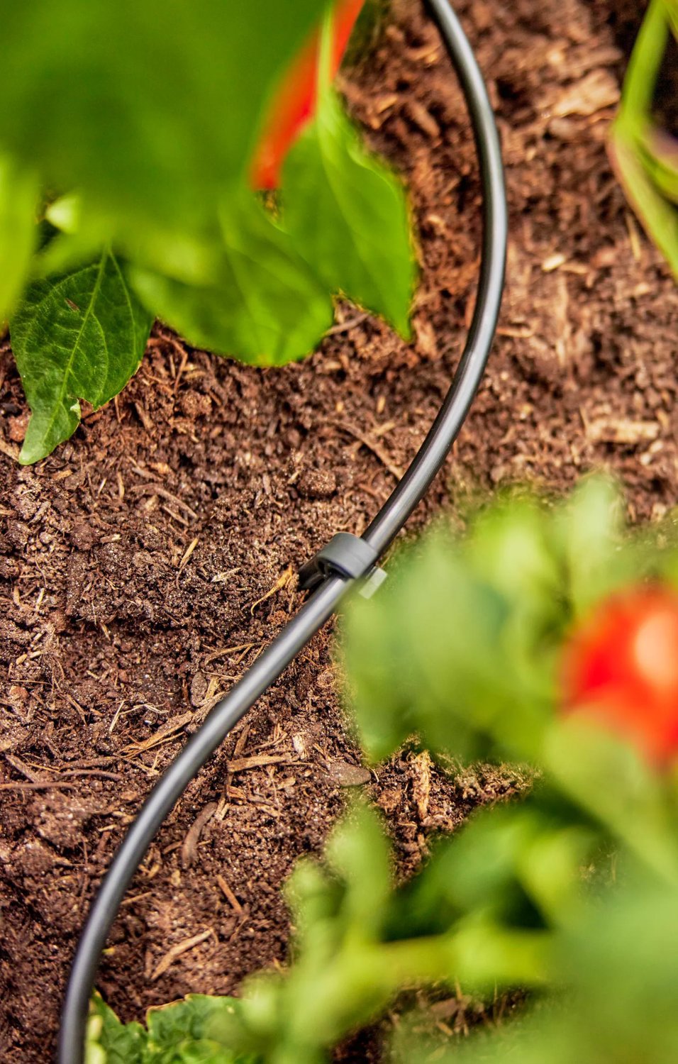 Anslutningsrör För Micro-Sprinkler Och Droppspridare