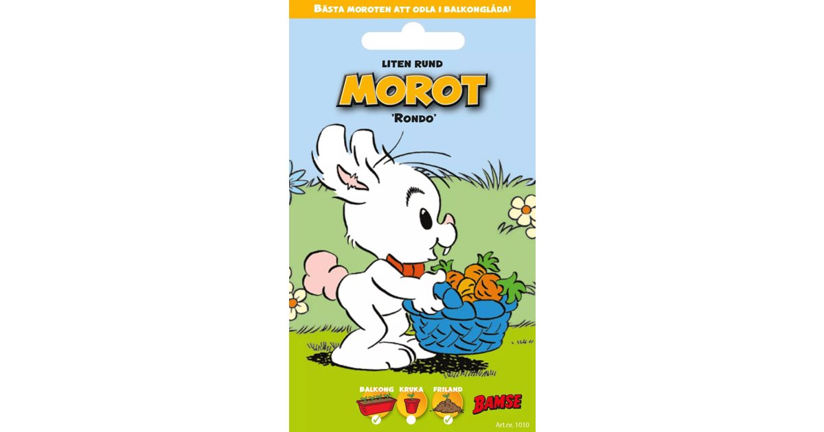 Bamsefrö Morot ’Rondo’
