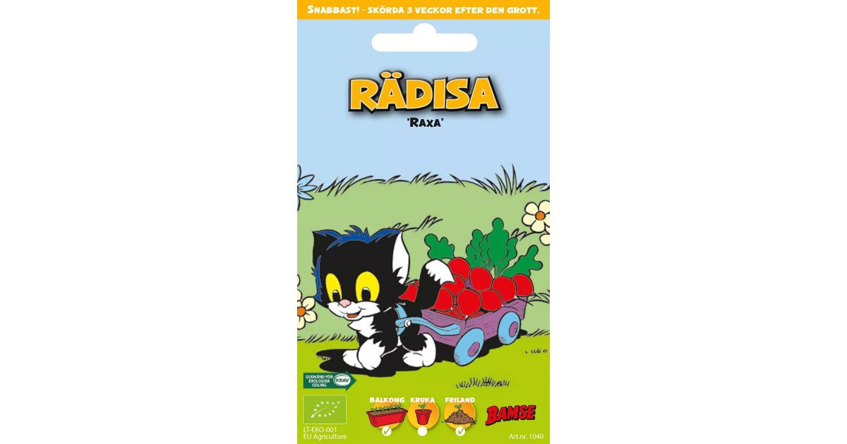 Bamsefrö Rädisa ’Raxe’