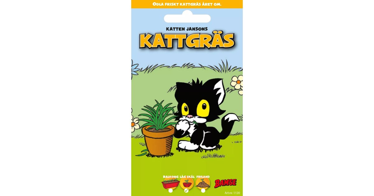 Bamsefrö Kattgräs
