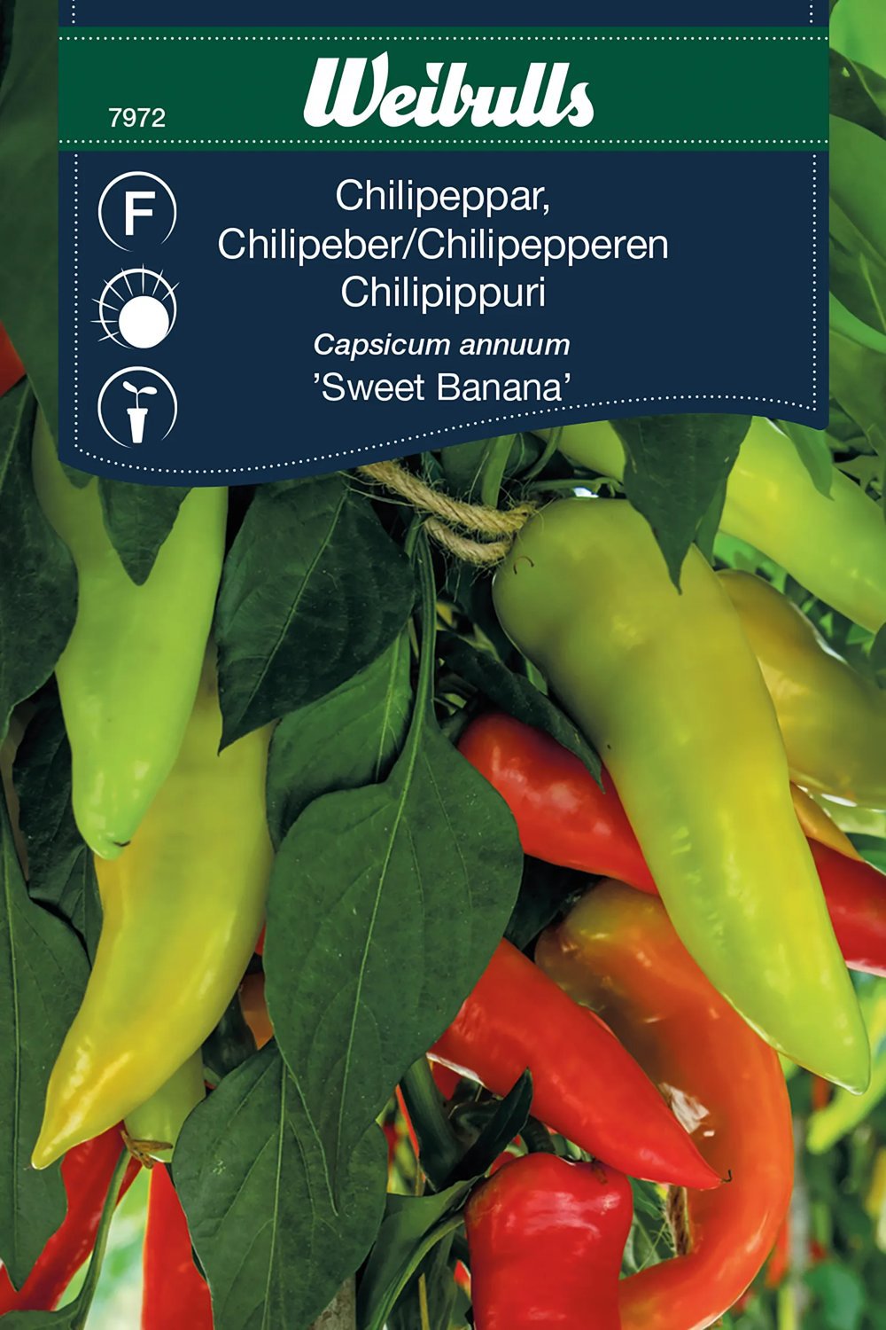 Produktbild på Chilipeppar 'Sweet Banana'